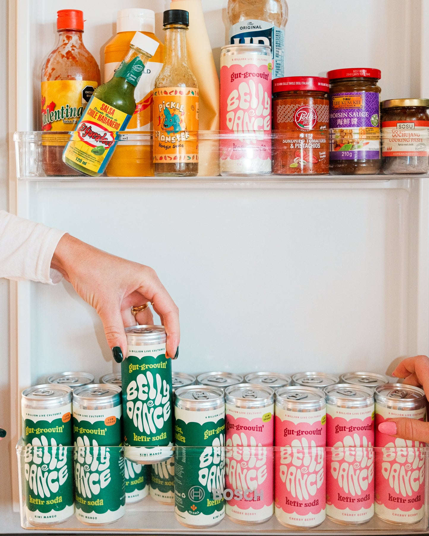 Variety Pack Water Kefir Cans